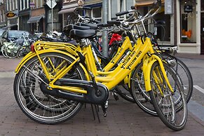 Quentin Hotel Golden Bear