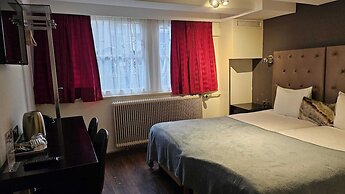 Quentin Hotel Golden Bear