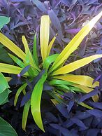 Miller's Guest House