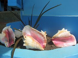 Miller's Guest House