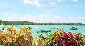 Miller's Guest House