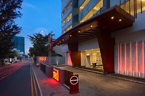 Cinnamon Red Colombo