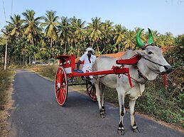 Coco Lagoon by Great Mount