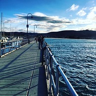 The Dolphin Apartments