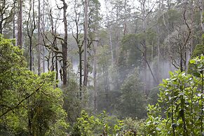 The Dolphin Apartments