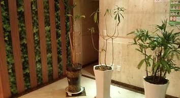 Apsan Business Hotel