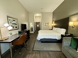 Holiday Inn Carlsbad by IHG