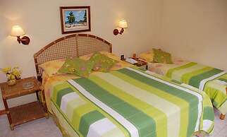 Pousada Portal dos Borbas