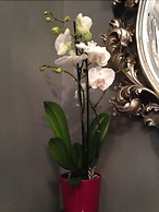 Brighton Inn Boutique Guest Accommodation