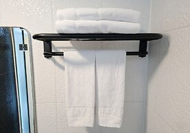 Ekonomy Hotel Myeongdong premier