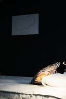 Warsaw Downtown Hostel