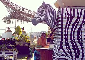 Sunset Destination Hostel