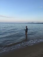 Jackaroo Treehouse Mission Beach - Hostel