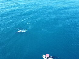 Naara Ecolodge & Spa