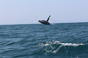 Naara Ecolodge & Spa