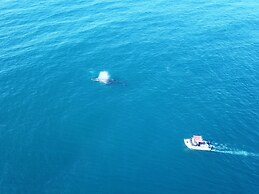 Naara Ecolodge & Spa