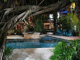 Eco-Hotel El Rey del Caribe