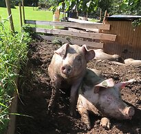 Søstrene Storaas Hotell