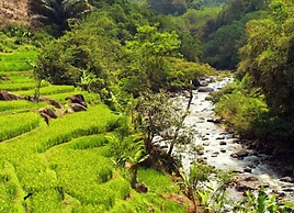 Driam Riverside Resort