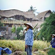 Samanvaya - Adults Only