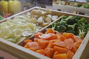 Maholova Minds Miura