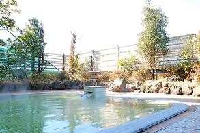 Maholova Minds Miura