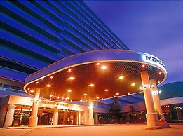 Maholova Minds Miura