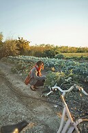 JW Marriott Venice Resort & Spa