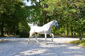 JW Marriott Venice Resort & Spa