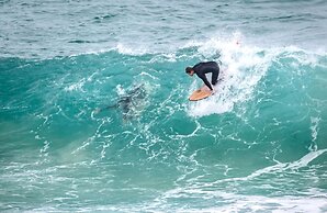 Bussells Bushland Cottages