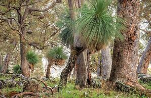 Bussells Bushland Cottages