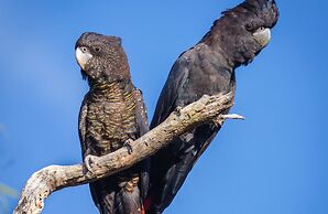 Bussells Bushland Cottages