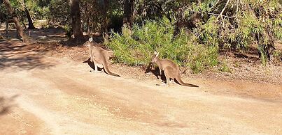 Bussells Bushland Cottages