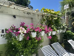 Starfruit Villa Hoi An