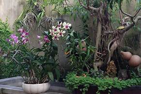 Starfruit Villa Hoi An