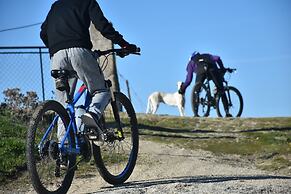 Apartamentos Barbancho