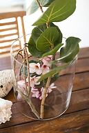 Pauline's Apartments Aruba