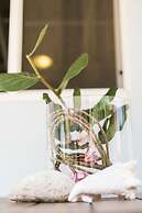 Pauline's Apartments Aruba