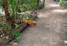 Xanadu Island Resort