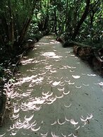 Xanadu Island Resort