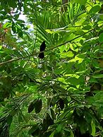 Xanadu Island Resort