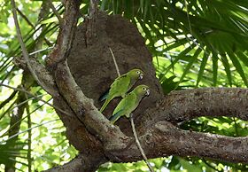 Xanadu Island Resort