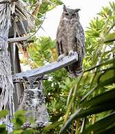 Xanadu Island Resort