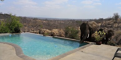 Mbizi Bush Lodge