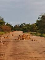 Mbizi Bush Lodge
