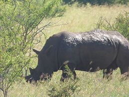 Mbizi Bush Lodge