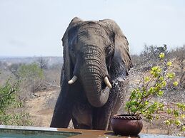 Mbizi Bush Lodge
