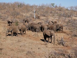 Mbizi Bush Lodge