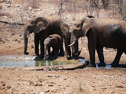 Mbizi Bush Lodge