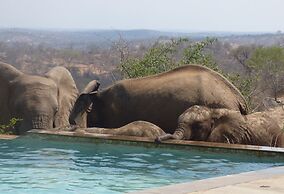 Mbizi Bush Lodge